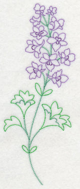 Foothill Larkspur (Vintage)