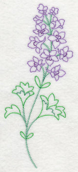 Foothill Larkspur (Vintage)