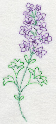 Foothill Larkspur (Vintage)