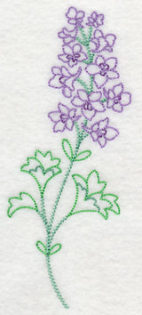 Foothill Larkspur (Vintage)