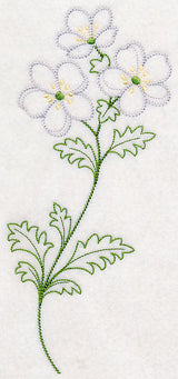 Cliff Rose (Vintage)