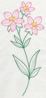 Centaurium (Vintage)