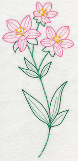 Centaurium (Vintage)
