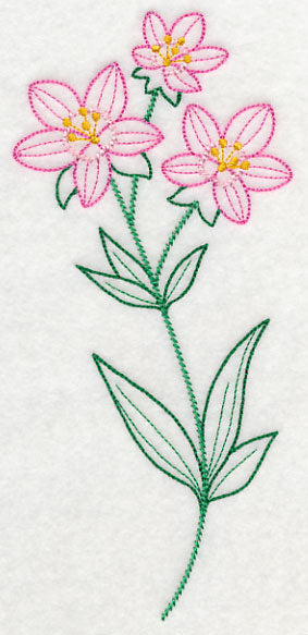 Centaurium (Vintage)
