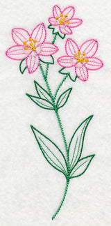Centaurium (Vintage)