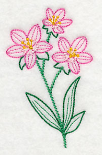 Centaurium (Vintage)