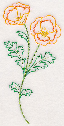California Poppy (Vintage)