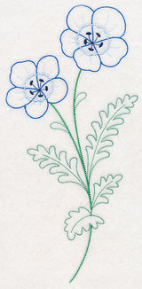 Baby Blue Eyes (Vintage)