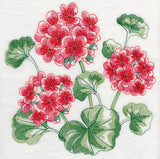 Geranium Sketch