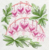 Bleeding Hearts Sketch