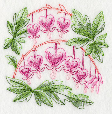 Bleeding Hearts Sketch