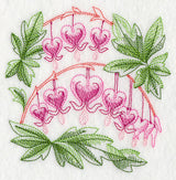 Bleeding Hearts Sketch