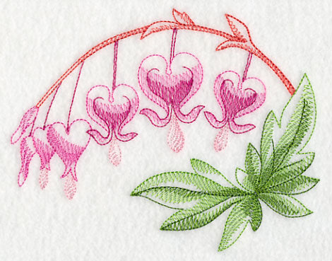 Bleeding Hearts Beauty