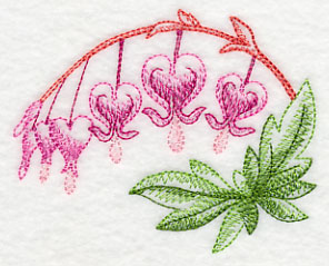 Bleeding Hearts Beauty