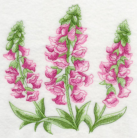 Foxglove Sketch