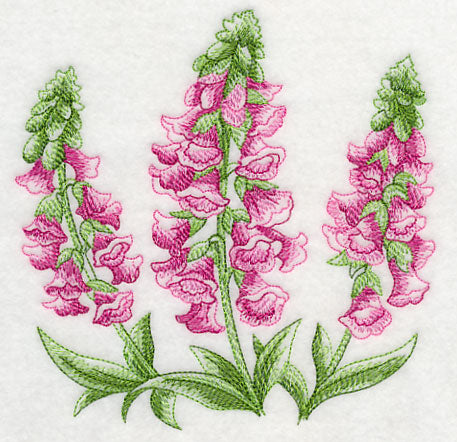 Foxglove Sketch