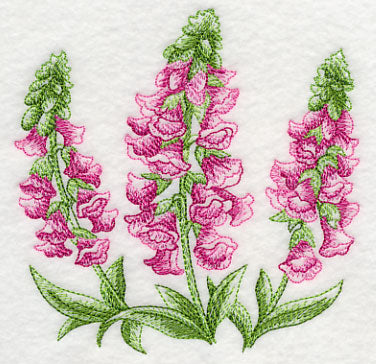 Foxglove Sketch