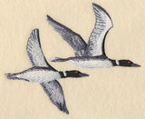Loons in Flight