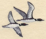 Loons in Flight