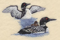Loons on the Lake
