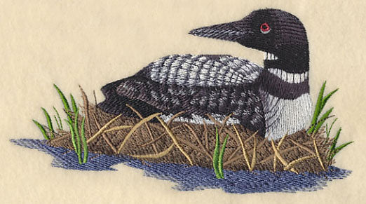 Loons on the Shore