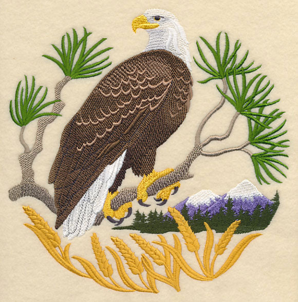 Eagle Scene