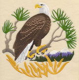 Eagle Scene
