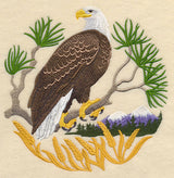 Eagle Scene