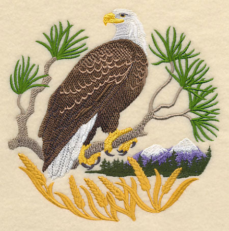 Eagle Scene