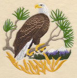 Eagle Scene