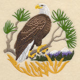 Eagle Scene