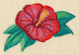 Hibiscus in Watercolor