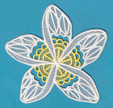 Frangipani (Lace)