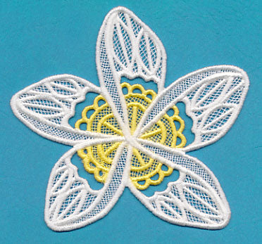 Frangipani (Lace)