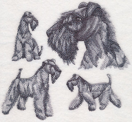 Kerry Blue Terrier Sketch