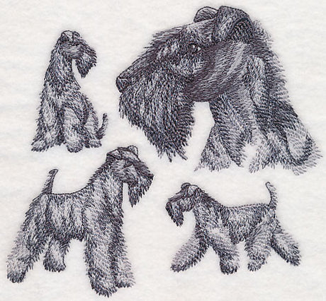 Kerry Blue Terrier Sketch