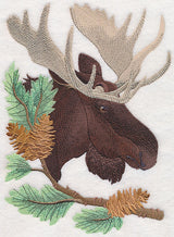 Moose in Pine