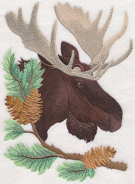 Moose in Pine