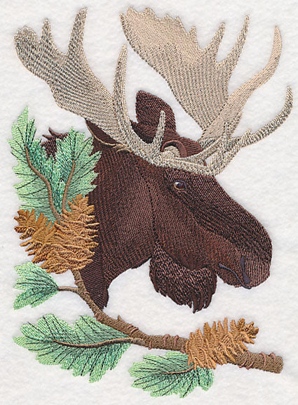 Moose in Pine