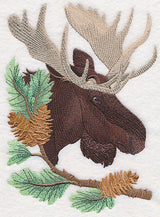 Moose in Pine