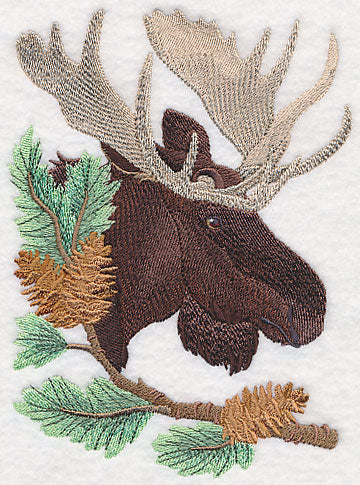 Moose in Pine