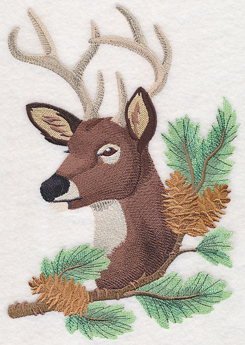 Deer in Pine