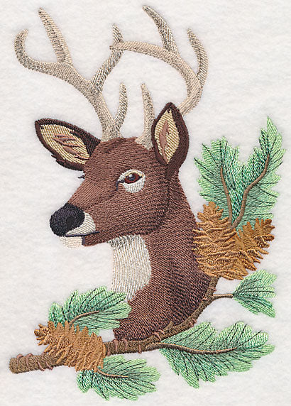 Deer in Pine