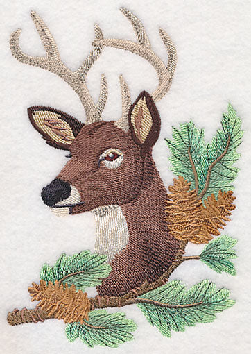 Deer in Pine