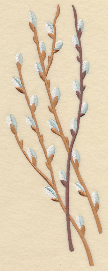 Pussy Willow Bunch 1