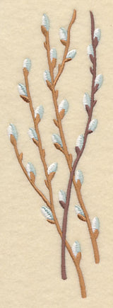 Pussy Willow Bunch 1
