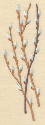 Pussy Willow Bunch 1