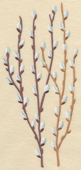Pussy Willow Bunch 2