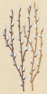 Pussy Willow Bunch 2