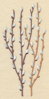 Pussy Willow Bunch 2
